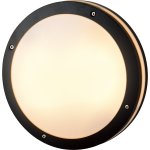 Azzardo Lampa sufitowa/Lampa ścienna Fano R 30 SMART LED RGB AZ4783 -