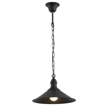 Lampa loft wisząca ERBA 631 czarna fabryczna - Argon